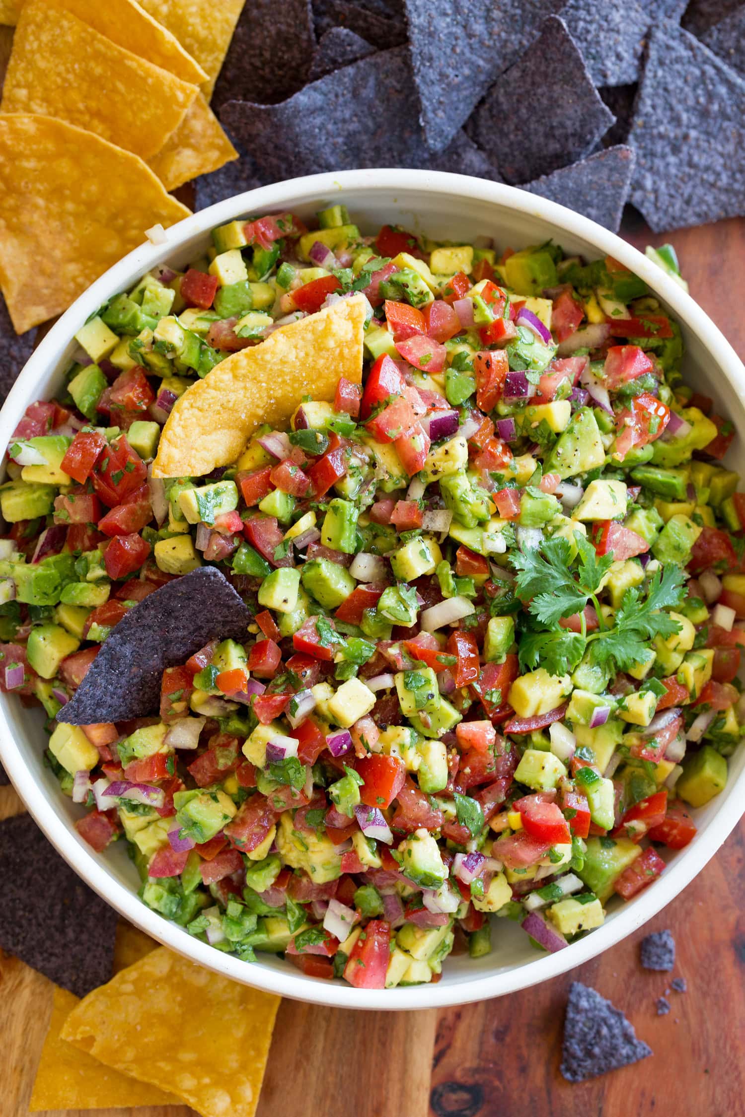 Avocado Salsa Close up overhead photo of avocado salsa with tomatoes, onions, jalapenos, and cilantro in a white bowl.