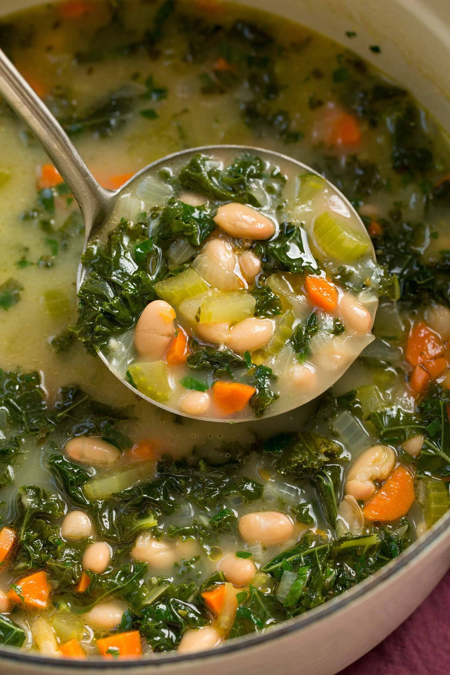 Ladle full of white bean kale soup.